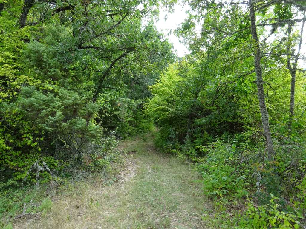Hiking North Macedonia Ohrid Galicica National Park