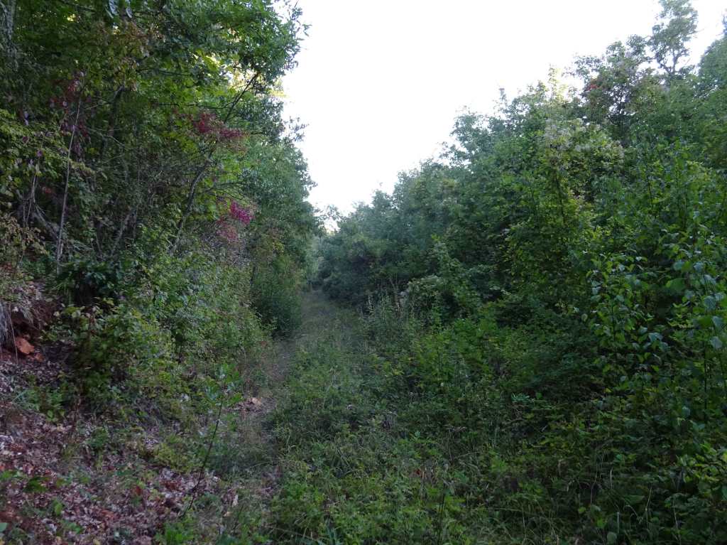 Hiking North Macedonia Ohrid Galicica National Park