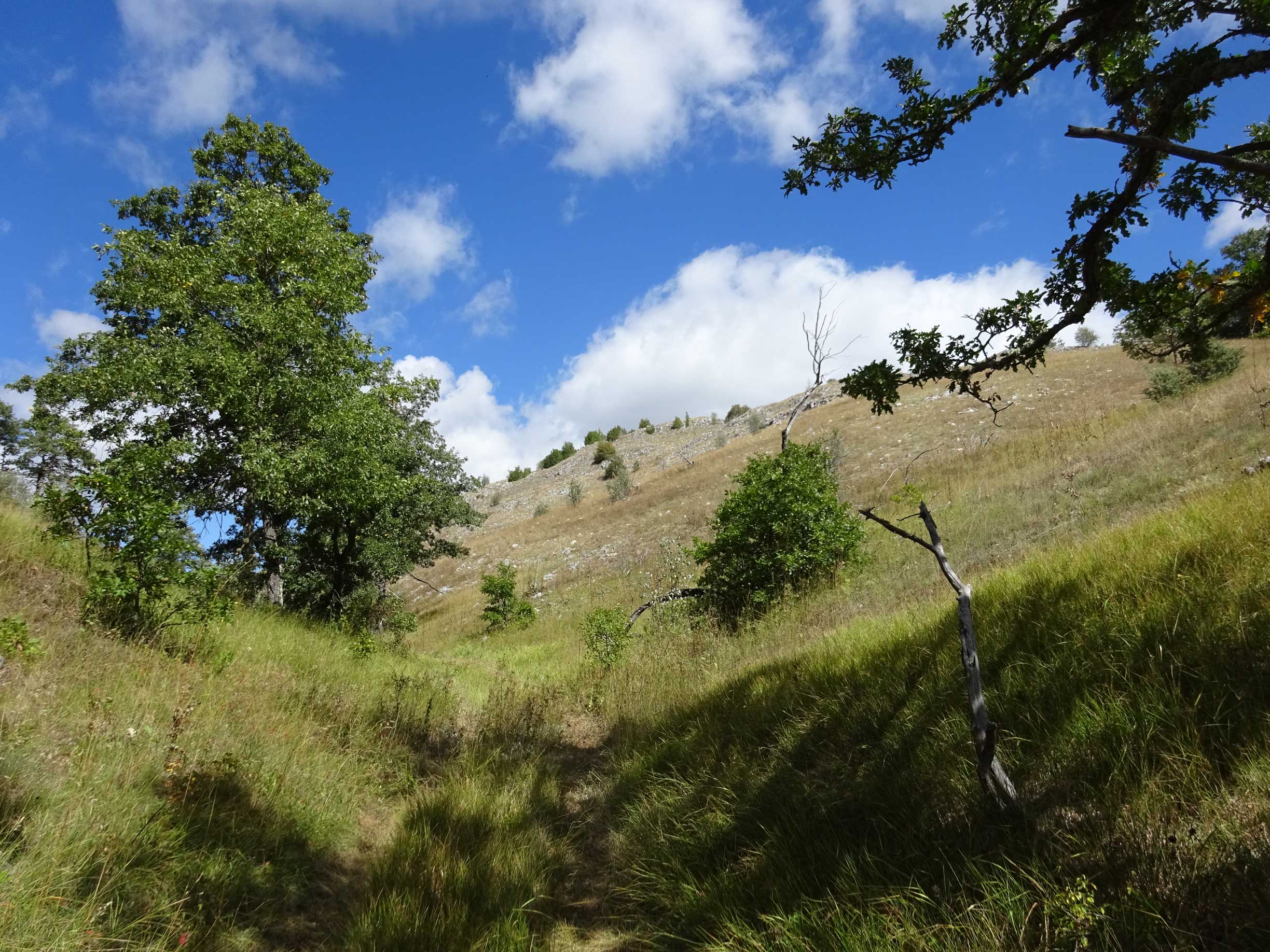 Hiking North Macedonia Ohrid Galicica National Park