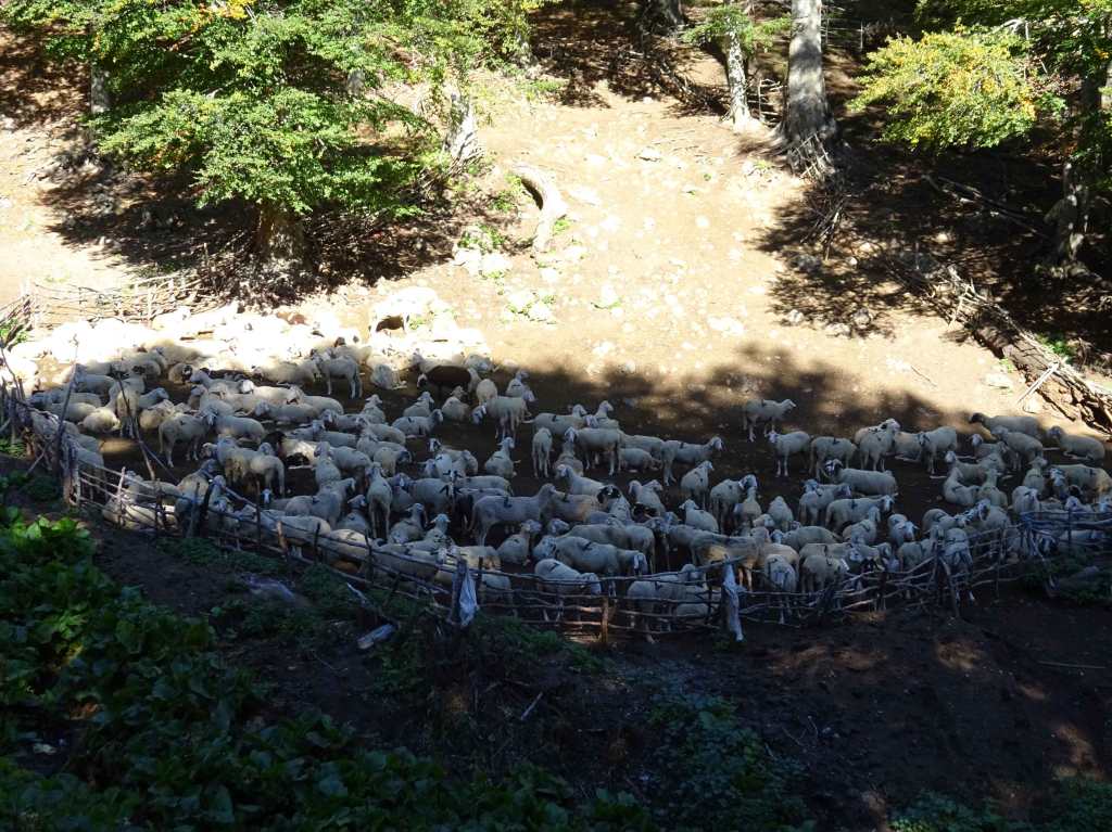 Hiking North Macedonia Jablanica