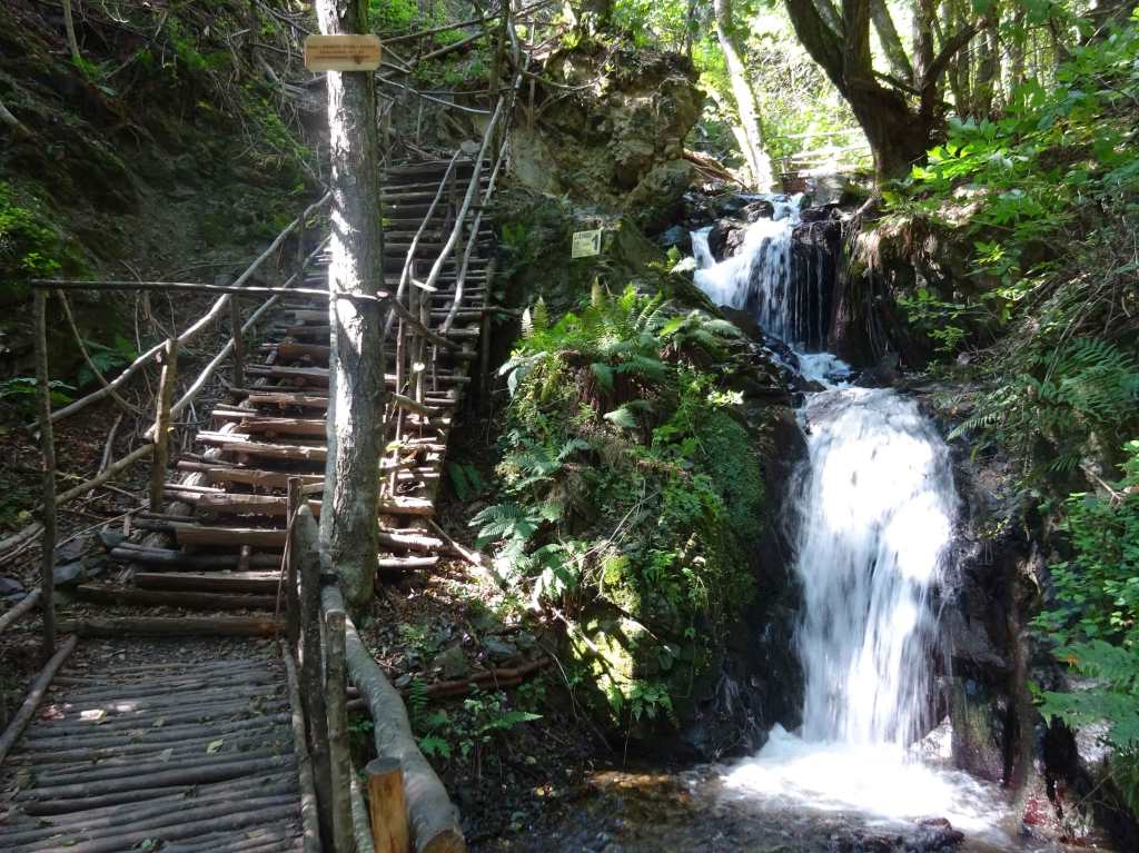 Hiking North Macedonia Sharr Mountain