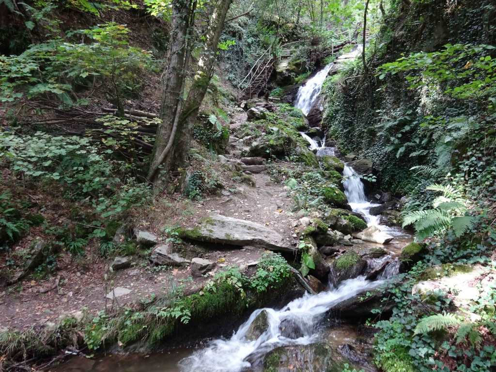 Hiking North Macedonia Sharr Mountain