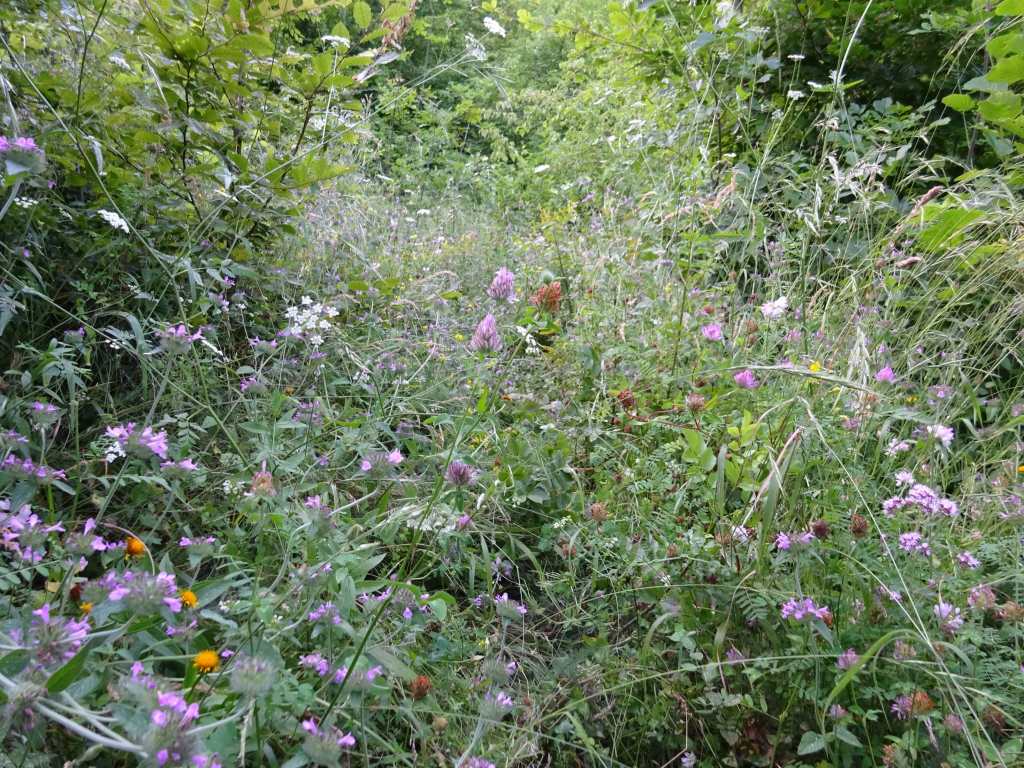 Hiking North Macedonia