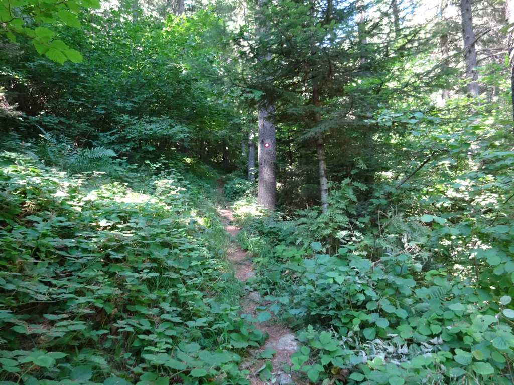 Hiking North Macedonia Pelister National park