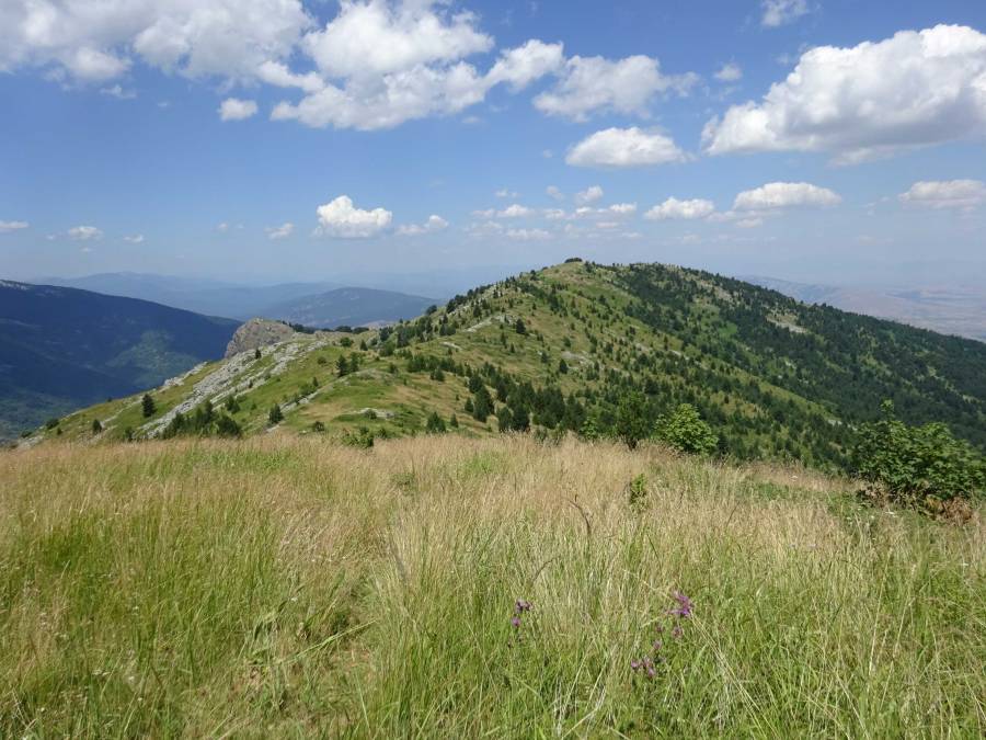 Hiking North Macedonia Pelister National Park
