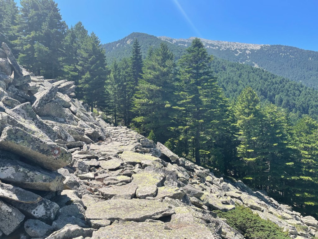Hiking North Macedonia Pelister National park