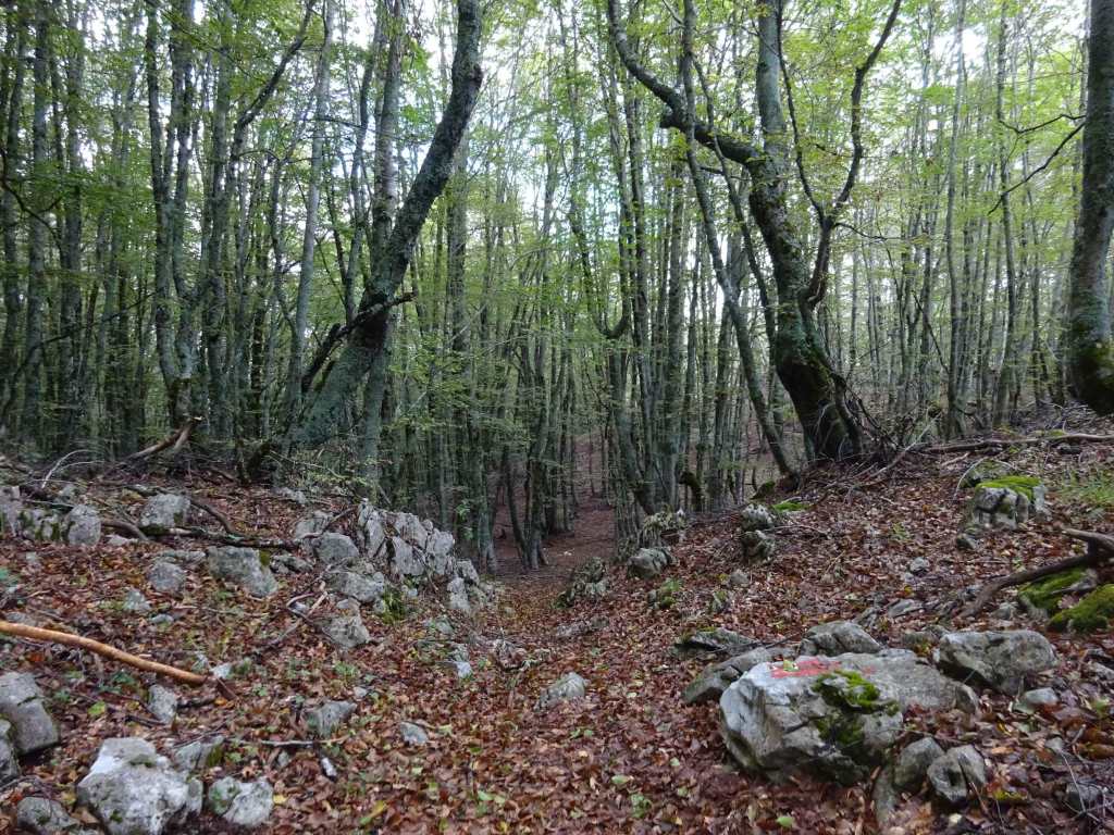 Samotska Dupka Cave Hike Galicica National Park North Macedonia Hiking
