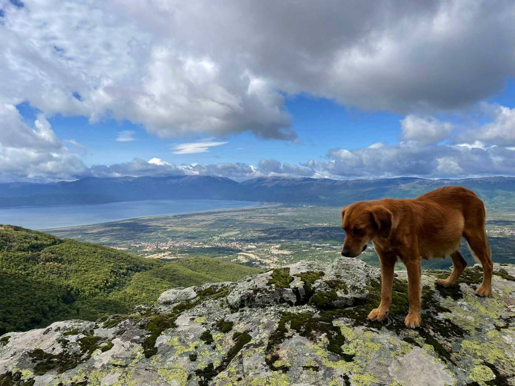 Hiking North Macedonia Pelister National Park