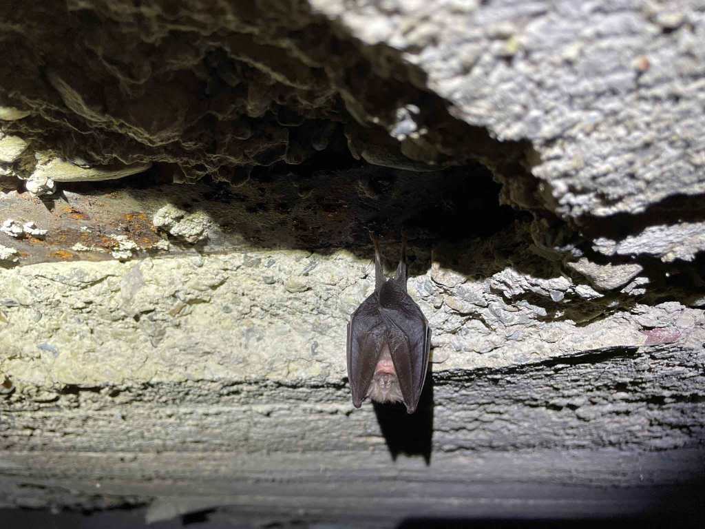 Bitola Sightseeing North Macedonia