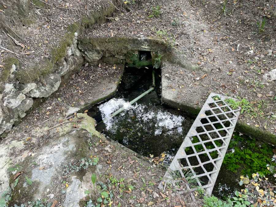 Spring St Nikola Sloestica